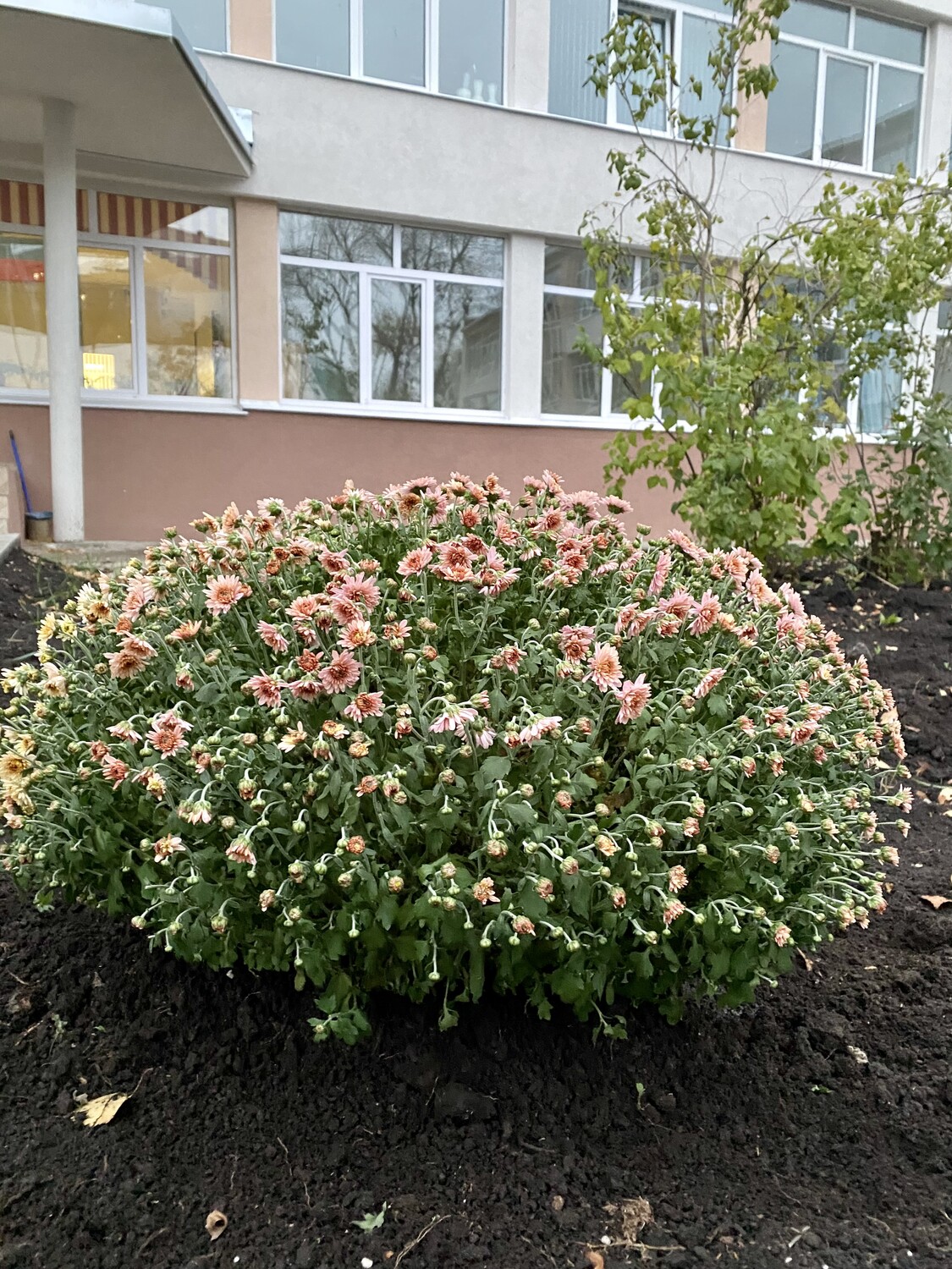 Родители школе!